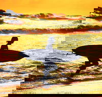 Discover Surfers Paradise - Accommodation NSW
