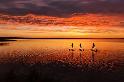 Stand Up Paddle Board Tour - Accommodation NSW 7