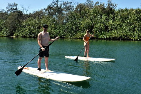 Stand Up Paddle Board Tour - Accommodation NSW 3