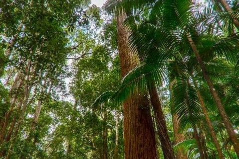 3-Day Fraser Island Hiking And 4WD Adventure From Hervey Bay - Accommodation NSW 1