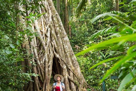 Rainforest To Reef Experience - Reef And Beyond Guided Holidays - Accommodation NSW 2