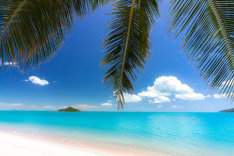 Rainforest To Reef Experience - Reef And Beyond Guided Holidays - Accommodation NSW 1