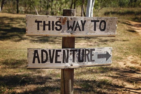 Rainforest To Reef Experience - Reef And Beyond Guided Holidays - Accommodation NSW 6