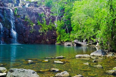 Rainforest To Reef Experience - Reef And Beyond Guided Holidays - Accommodation NSW 5