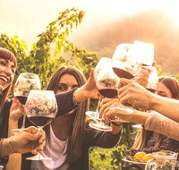 Mt Tamborine Winery Tour - Local Pickup - Accommodation NSW