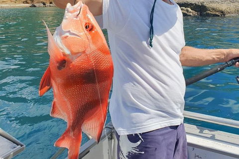 Adventure Fishing Combo Day - Fish, Swim, Whitehaven, Hill Inlet Bush Walking - Accommodation NSW 2