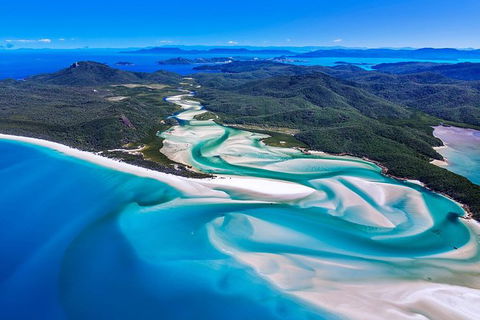 Adventure Fishing Combo Day - Fish, Swim, Whitehaven, Hill Inlet Bush Walking - Accommodation NSW 9