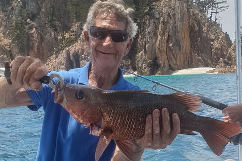 Adventure Fishing Combo Day - Fish, Swim, Whitehaven, Hill Inlet Bush Walking - Accommodation NSW 10
