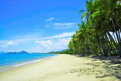 Airport Transfer - Palm Cove, Kewarra Beach & Trinity Beach To Cairns Airport - Accommodation NSW 2