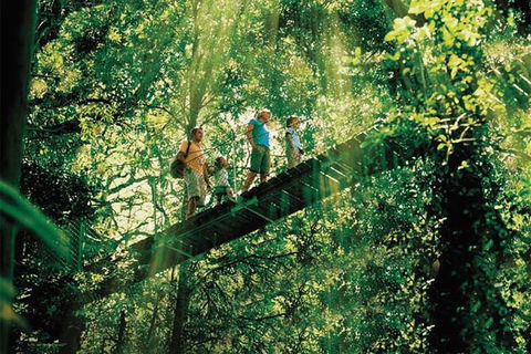 O\'Reilly\'s & Lamington National Park From Gold Coast - Accommodation NSW 1