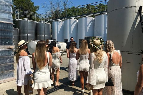 Private Half Day Wine Tour From Gold Coast To Tamborine Mountain - Accommodation NSW 0