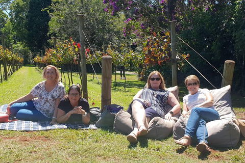 Private Half Day Wine Tour From Gold Coast To Tamborine Mountain - Accommodation NSW 2