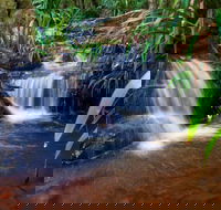 Glow Worms Tour - Nocturnal Rainforest Walk - Small Group - Accommodation NSW