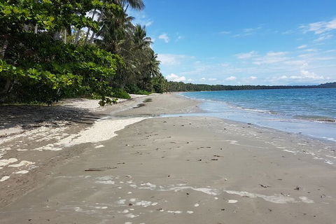 Private Transfers - Cairns Airport To Palm Cove - Accommodation NSW 1