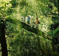 OReillys Rainforest Retreat and Winery Day Tour from Nerang - Accommodation NSW