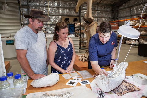 Australian Dinosaur Giants Tour - Accommodation NSW 0