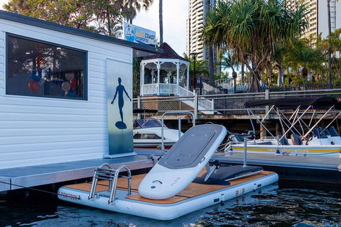 Gold Coast Hydrofoil Tours - Accommodation NSW 9