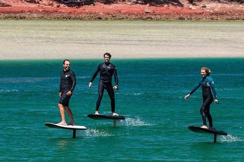 Gold Coast Hydrofoil Tours - Accommodation NSW 18