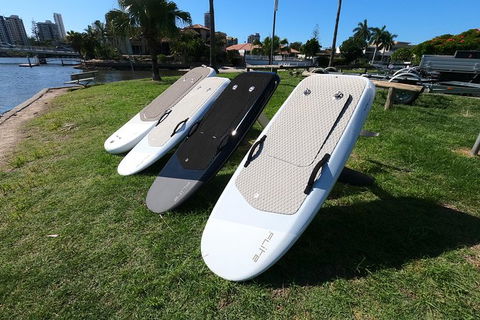 Gold Coast Hydrofoil Tours - Accommodation NSW 11