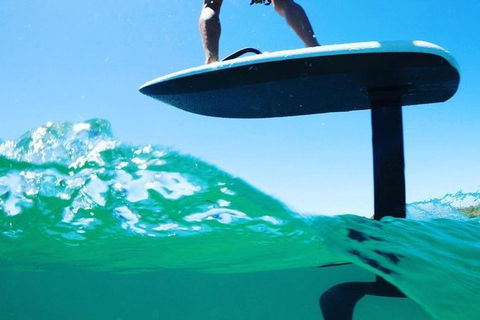 Gold Coast Hydrofoil Tours - Accommodation NSW 16