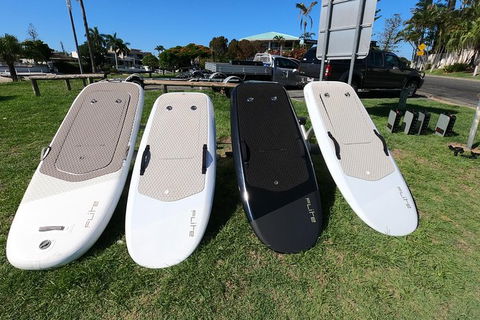 Gold Coast Hydrofoil Tours - Accommodation NSW 15