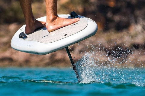Gold Coast Hydrofoil Tours - Accommodation NSW 17