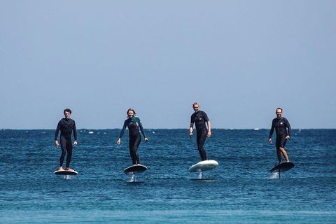 Gold Coast Hydrofoil Tours - Accommodation NSW 6