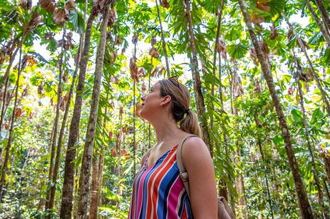 5 Day Australia Retreat: Queensland Daintree - Accommodation NSW 3