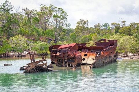 Sandy Straits Scenic & Wildlife Cruise - Accommodation NSW 9