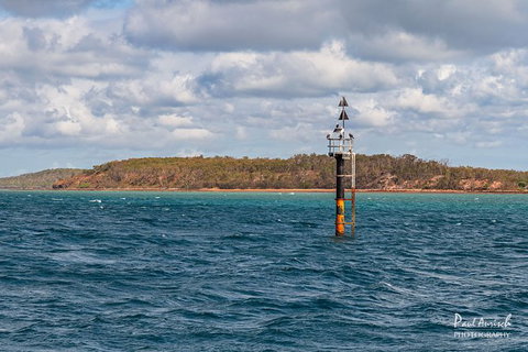 Sandy Straits Scenic & Wildlife Cruise - Accommodation NSW 6