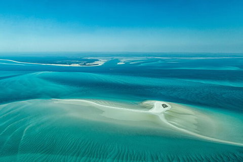 Sandy Straits Scenic & Wildlife Cruise - Accommodation NSW 5