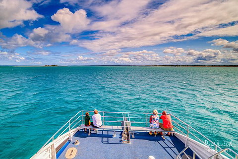 Sandy Straits Scenic & Wildlife Cruise - Accommodation NSW 7