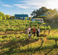 Barossa Valley Highlights from Barossa Valley Including Wine and Cheese Tasting - Accommodation NSW