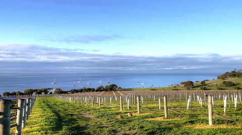 Kangaroo Island Gourmet Food And Wine Trail Tour - Accommodation NSW 3