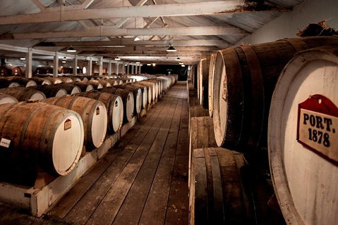 Seppeltsfield Taste Your Birth Year Tour - Accommodation NSW 3