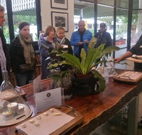 Half-Day Tour with a unique Barossan experience - Accommodation NSW