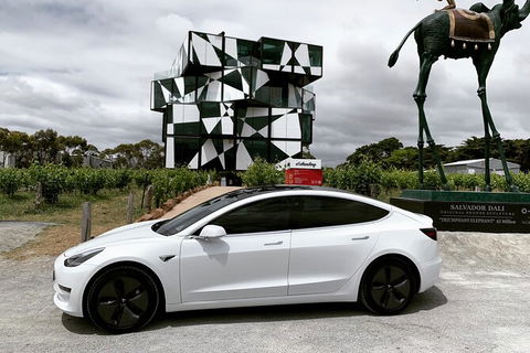 Adelaide Airport Arrival Transfer OR Tour In A Tesla Model3 EV - Accommodation NSW 3