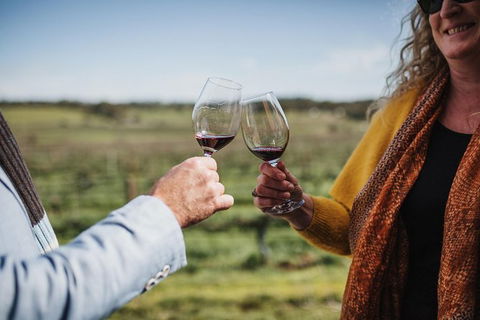 Armagh Vineyard Exclusive Wine Experience And Lunch - Accommodation NSW 1