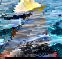 Coffin Bay Oysters Ocean  Nature Tour