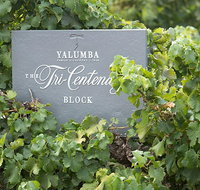 Yalumba Nursery  Grenache Discovery Tour  Platter Lunch - Accommodation NSW