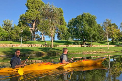 Adelaide City Kayak Tour - Accommodation NSW 4