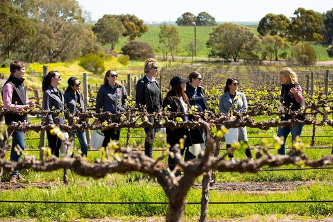 Walk, Taste, Graze - Experience At Pindarie - Accommodation NSW 2