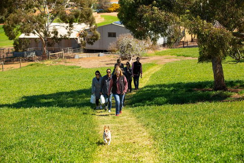 Walk, Taste, Graze - Experience At Pindarie - Accommodation NSW 7