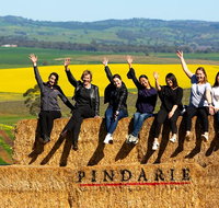 Walk Taste Graze - Experience at Pindarie - Accommodation NSW