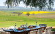 Walk, Taste, Graze - Experience At Pindarie - thumb 4