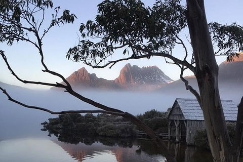 Cradle Mountain Park Explorer - Accommodation NSW 7