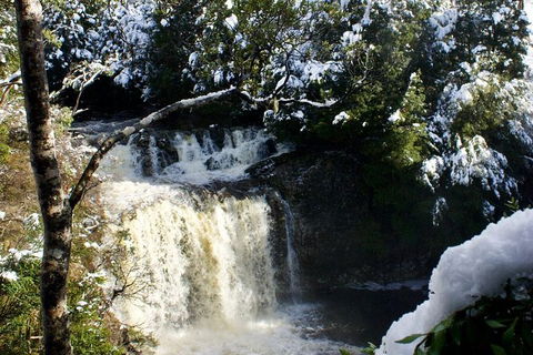 Cradle Mountain Park Explorer - Accommodation NSW 1