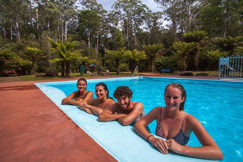 Tahune Airwalk Active Day Trip From Hobart Including Hastings Caves - Accommodation NSW 4