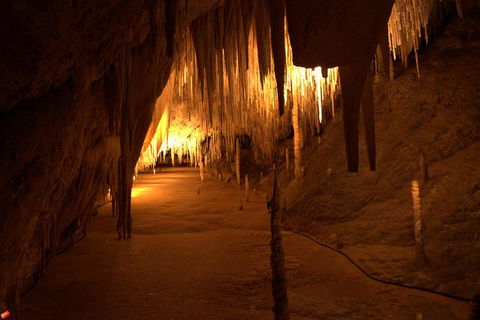 Tahune Airwalk Active Day Trip From Hobart Including Hastings Caves - Accommodation NSW 8