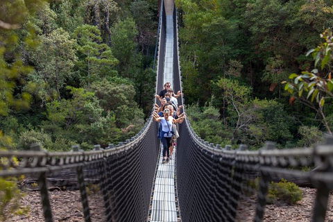 Tahune Airwalk Active Day Trip From Hobart Including Hastings Caves - Accommodation NSW 0